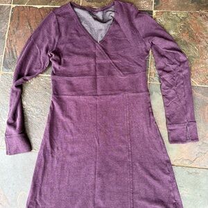 Banana Republic Purple Long Sleeve Dress